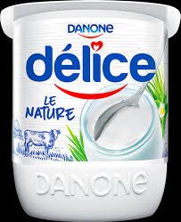 YAOURT DELICE NATURE 100 GR