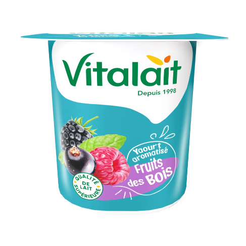YAOURT AROMATISE FRUITS DES BOIS VITALAIT 100 GR - Image 1